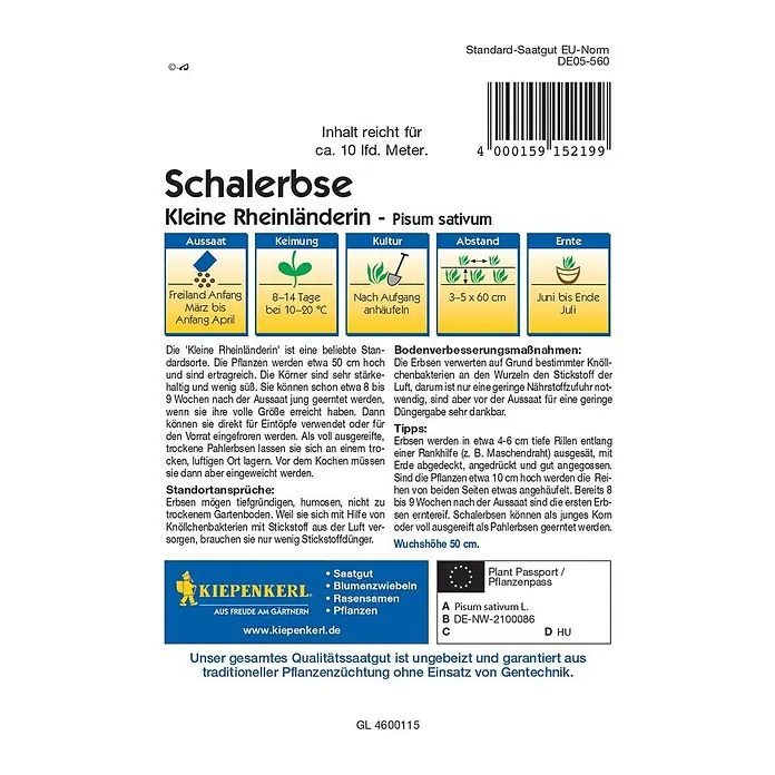 Kiepenkerl Gemüsesamen Schalerbse Kleine Rheinländerin - Pisum sativum, Erntezeit: Juni - Abbildung des Kiepenkerl-Samens von Schalerbse Kleine Rheinländerin, einer Sorte von Pisum sativum, ideal für den Anbau.