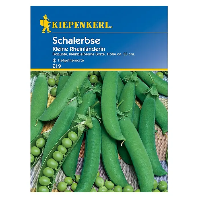Kiepenkerl Gemüsesamen Schalerbse Kleine Rheinländerin - Pisum sativum, Erntezeit: Juni - Das Bild zeigt eine Packung 'Schalerbse Kleine Rheinländerin' Samen der Marke Kiepenkerl, eine robuste, kleinbleibende Sorte, ideal zum Tiefgefrieren.