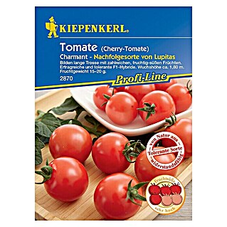 Kiepenkerl Profi-Line Gemüsesamen Cherry-Tomate Charmant (Solanum lycopersicum, Erntezeit: Juli)