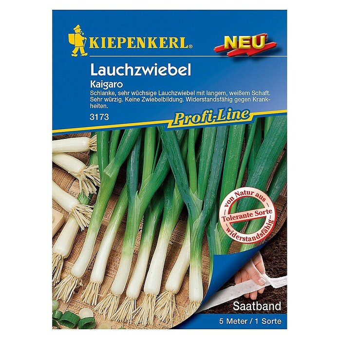 Kiepenkerl Profi-Line Gemüsesamen Lauchzwiebel Kaigaro (Allium fistulosum, Erntezeit: Mai, Saatband) | BAUHAUS