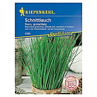 Kiepenkerl Profi-Line Kräutersamen Schnittlauch (Allium schoenoprasum, Saatzeit: April, Erntezeit: Ganzjährig)