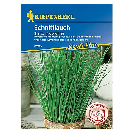 Kiepenkerl Profi-Line Kräutersamen Schnittlauch Staro, grobröhrig