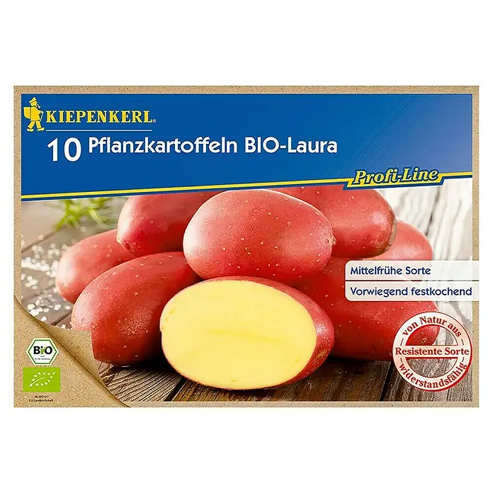 Kiepenkerl Profi-Line Pflanzkartoffeln - Solanum tuberosum, Laura BIO, 10 Stk., Erntezeit: August - Die Packung Kiepenkerl Pflanzkartoffeln BIO-Laura enthält 10 mittelfrühe, vorwiegend festkochende, resistente Kartoffeln.