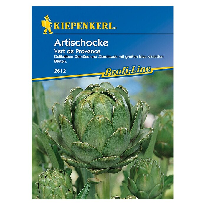 Kiepenkerl Profi-Line Gemüsesamen Artischocke (Cynara cardunculus, Erntezeit: September) | BAUHAUS