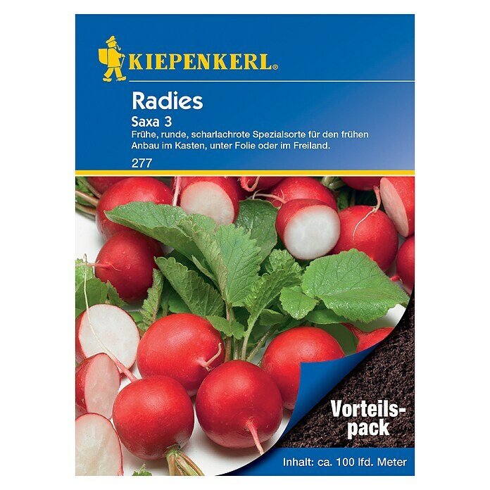 Kiepenkerl Gemüsesamen Radieschen (Raphanus sativus var. sativus, Erntezeit: April, Für ca. 100 lfdm)