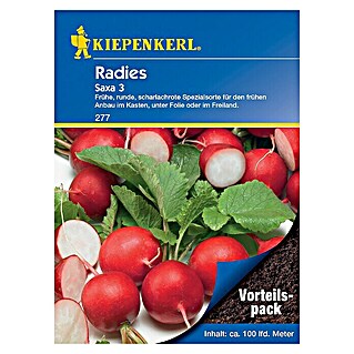 Kiepenkerl Gemüsesamen Radieschen (Raphanus sativus var. sativus, Erntezeit: April - Mai, Für ca. 100 lfdm)