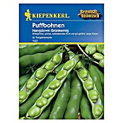 Kiepenkerl Gemüsesamen Puffbohne Hangdown (Vicia faba, Erntezeit: Juni) | BAUHAUS