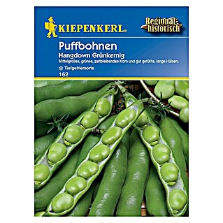 Kiepenkerl Gemüsesamen Puffbohne Hangdown (Vicia faba, Erntezeit: Juni)