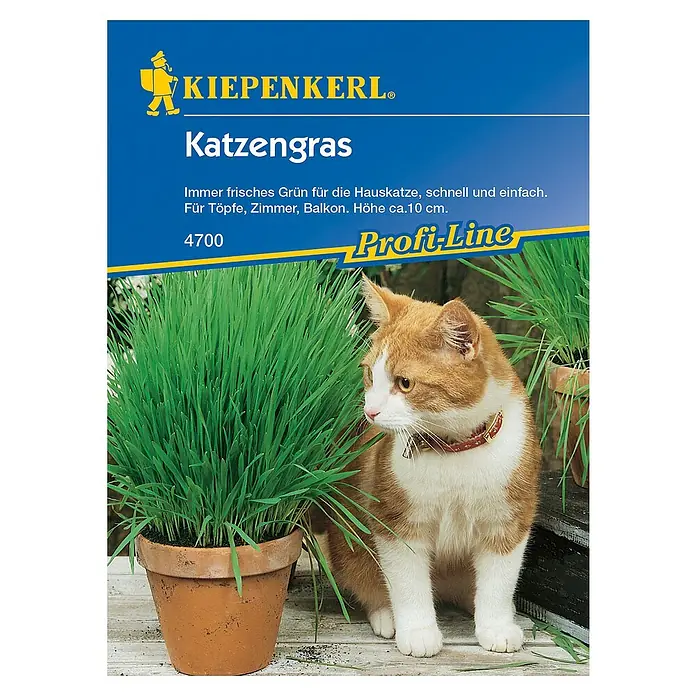 Kiepenkerl Profi-Line Saatgut Katzengras - Verschiedene sorten - Katzenliebhaber aufgepasst! Katzengras von Kiepenkerl, die gesunde und natürliche Ergänzung für die Ernährung Ihrer Katze. Einfach im Topf zu züchten.