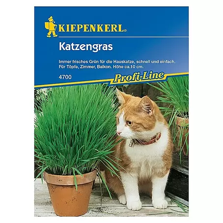 Kiepenkerl Profi-Line Saatgut Katzengras