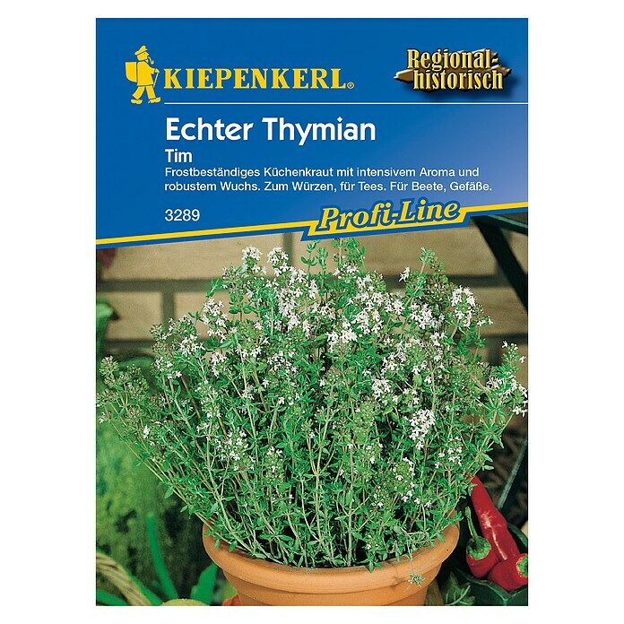 Kiepenkerl Profi-Line Kräutersamen Thymian (Thymus vulgaris, Erntezeit: Juli) | BAUHAUS