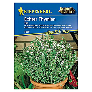 Kiepenkerl Profi-Line Kräutersamen Thymian (Thymus vulgaris, Erntezeit: Juli)