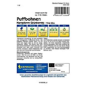 Kiepenkerl Gemüsesamen Puffbohne Hangdown (Vicia faba, Erntezeit: Juni) | BAUHAUS