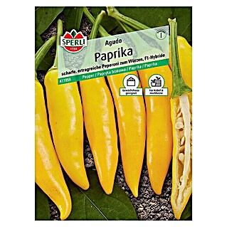 Sperli Gemüsesamen Paprika Agudo (Agudo F1, Capsicum annuum, Erntezeit: Juli)