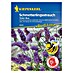 Kiepenkerl Profi-Line Blumensamen Schmetterlingsstrauch 