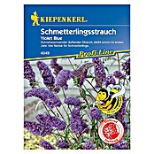 Kiepenkerl Profi-Line Blumensamen Schmetterlingsstrauch (Buddleja davidii) | BAUHAUS