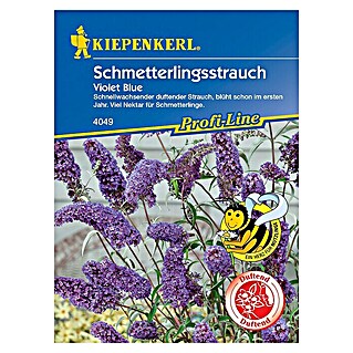 Kiepenkerl Profi-Line Blumensamen Schmetterlingsstrauch (Buddleja davidii)