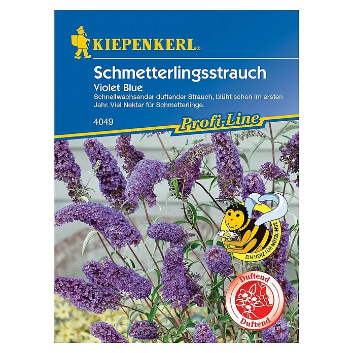 Kiepenkerl Profi-Line Blumensamen SchmetterlingsstrauchBuddleja davidii - Samenpackung Schmetterlingsstrauch Violet Blue von Kiepenkerl mit lila Blüten und Informationen zum Anbau.