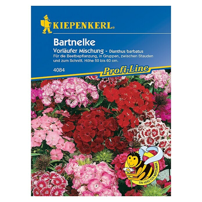 Kiepenkerl Profi-Line Blumensamen Bartnelke (Vorläufer Mix, Dianthus barbatus)