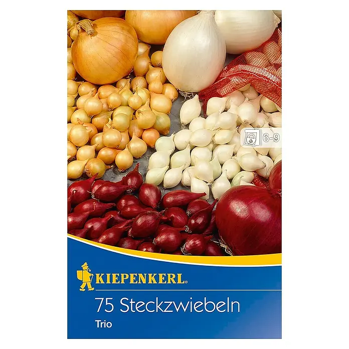 Kiepenkerl Steckzwiebeln TrioAllium cepa, Erntezeit: Juli