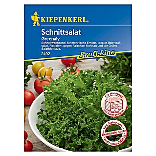 Kiepenkerl Profi-Line Salatsamen Schnittsalat (Lactuca sativa var. crispa, Erntezeit: Mai)