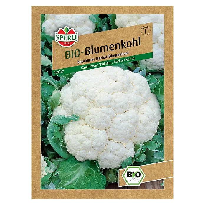 Sperli Gemüsesamen BIO Blumenkohl - Brassica oleracea var. botrytis, Erntezeit: September - Samenpackung Bio-Blumenkohl von Sperli mit einem großen Blumenkohlkopf und dem Bio-Siegel.