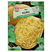 Sperli Gemüsesamen Kürbis Pyza (Cucurbita pepo, Erntezeit: September) | BAUHAUS