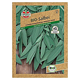 Sperli Kräutersamen BIO Salbei (Salvia officinalis, Saatzeit: Mai - Juni, Erntezeit: Mai - Oktober)