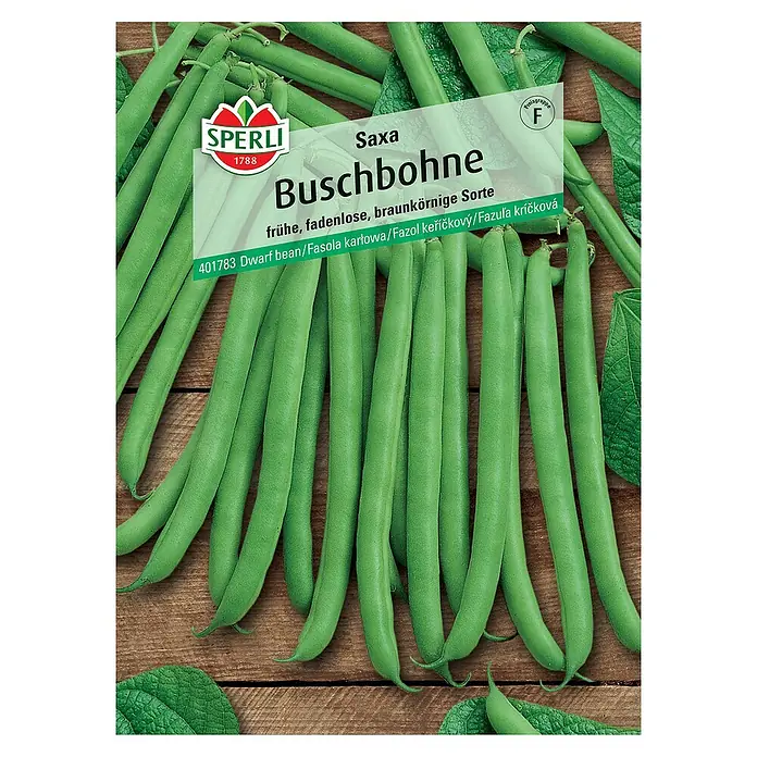 Sperli Gemüsesamen Buschbohne - Phaseolus vulgaris var. nanus, Erntezeit: Juli, Saxa - Abbildung der "Saxa Buschbohne" von Sperli, einer frühen, fadenlosen Sorte mit braunen Körnern. Ideal für jeden Garten.