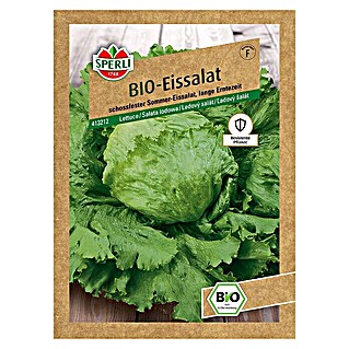 Sperli Salatsamen BIO Eissalat (Lactuca sativa, Erntezeit: Juni)