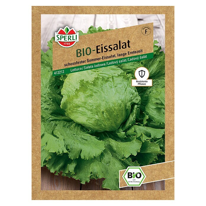 Sperli Salatsamen BIO EissalatLactuca sativa, Erntezeit: Juni - Oktober Front View