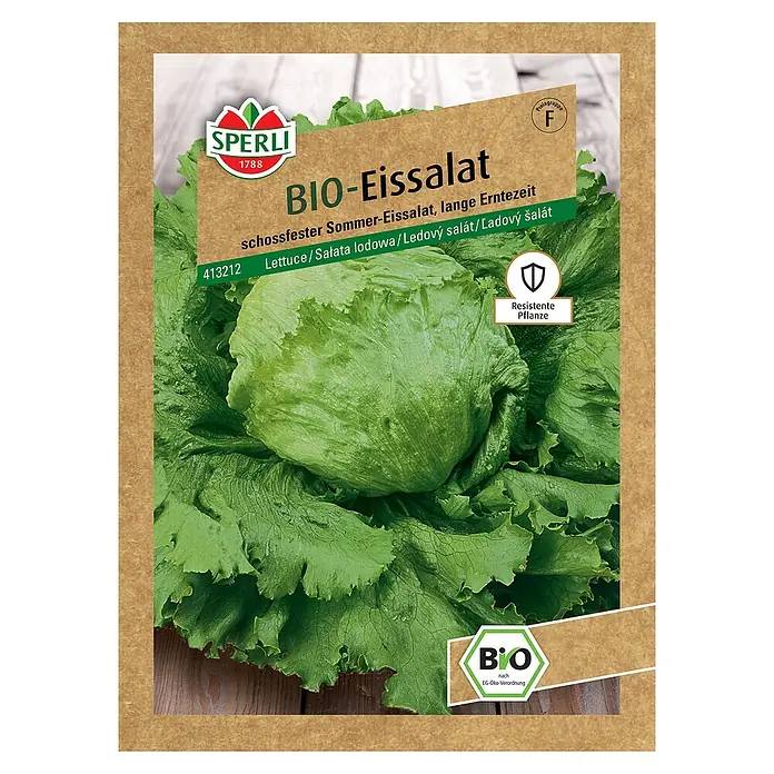 Sperli Salatsamen BIO Eissalat - Lactuca sativa, Erntezeit: Juni - Ein Kopf Bio-Eissalat der Marke Sperli, eine schossfeste Sommersorte mit langer Erntezeit, ideal für frische Salate.