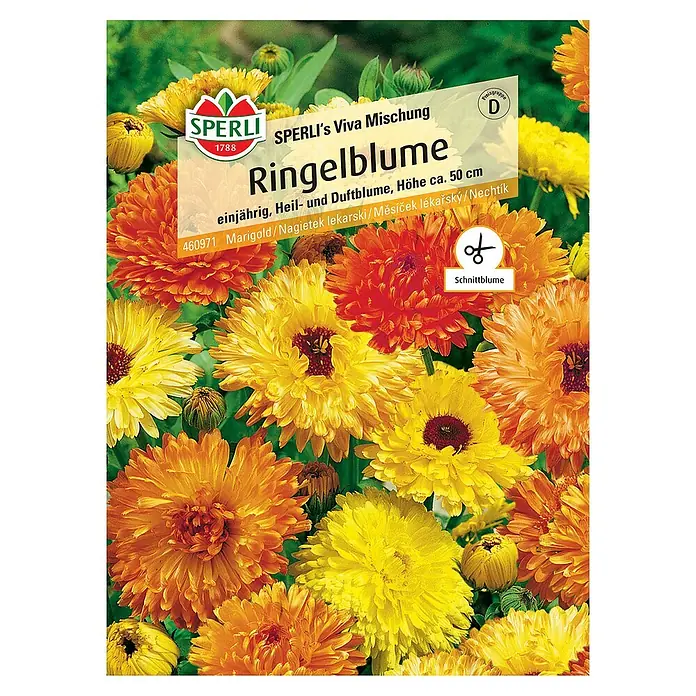 Sperli Blumensamen Ringelblume