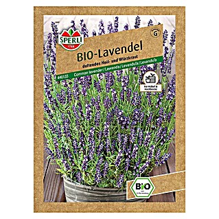 Sperli Kräutersamen BIO Lavendel