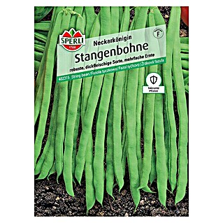 Sperli Gemüsesamen Stangenbohne (Phaseolus vulgaris, Erntezeit: Juli)
