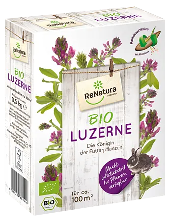 bio saatgut bienenweide dm Bio-Blühmischung Bienenweide Saatgut-Mischung (mehrjährig) main image 0