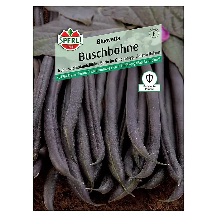 Sperli Gemüsesamen Buschbohne - Phaseolus vulgaris, Erntezeit: Juli, Bluevetta - Abbildung der 'Bluevetta Buschbohne' Samenpackung von Sperli. Die Sorte ist resistent und hat violette Hülsen.