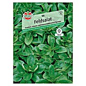 Sperli Salatsamen Feldsalat 'Vit' (Valerianella locusta, Erntezeit: Ganzjährig) | BAUHAUS