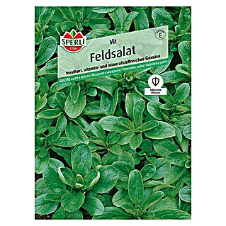 Sperli Salatsamen Feldsalat 'Vit' (Valerianella locusta, Erntezeit: Ganzjährig)