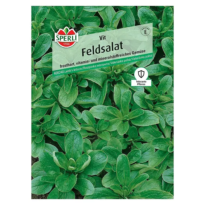 Sperli Salatsamen Feldsalat 'Vit' - Valerianella locusta, Erntezeit: Ganzjährig - Samenpackung Feldsalat Vit, winterhartes, vitamin- und mineralstoffreiches Gemüse von Sperli 1788.