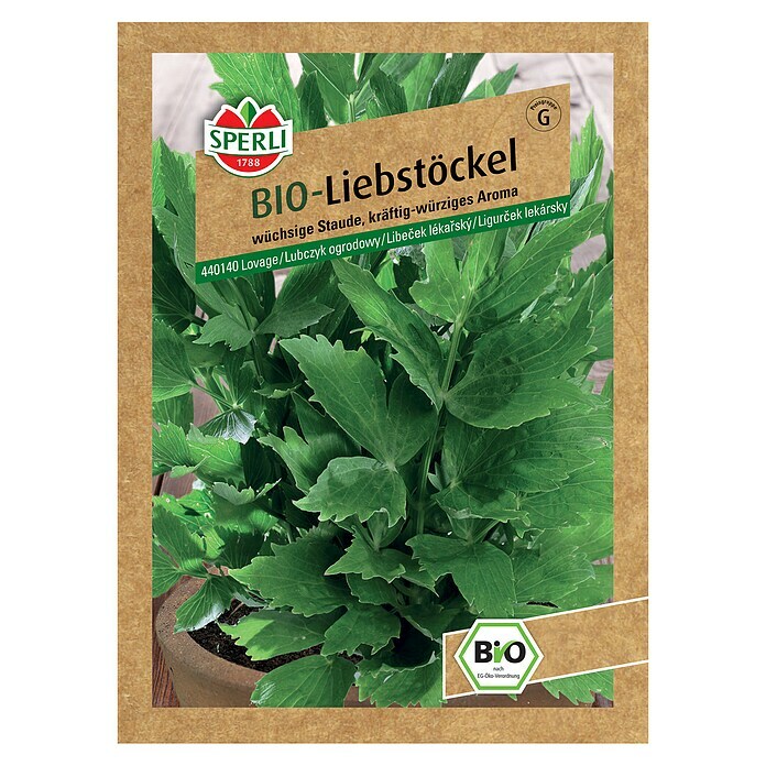 Sperli Kräutersamen BIO LiebstöckelLevisticum officinale, Erntezeit: Juni - Oktober Front View