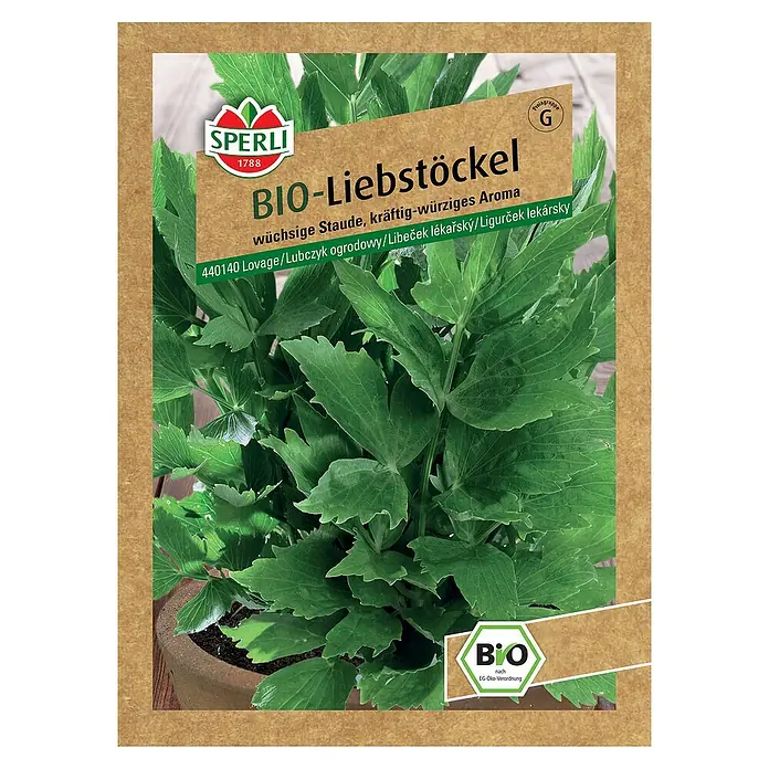 Sperli Kräutersamen BIO Liebstöckel - Levisticum officinale, Erntezeit: Juni - Samenpackung für Bio-Liebstöckel von Sperli, eine würzige, wüchsige Staude für den Garten. Ideal für Kräuterliebhaber und Biogärtner.