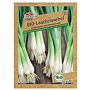 Sperli Gemüsesamen BIO Lauchzwiebel (Allium cepa, Erntezeit: April)
