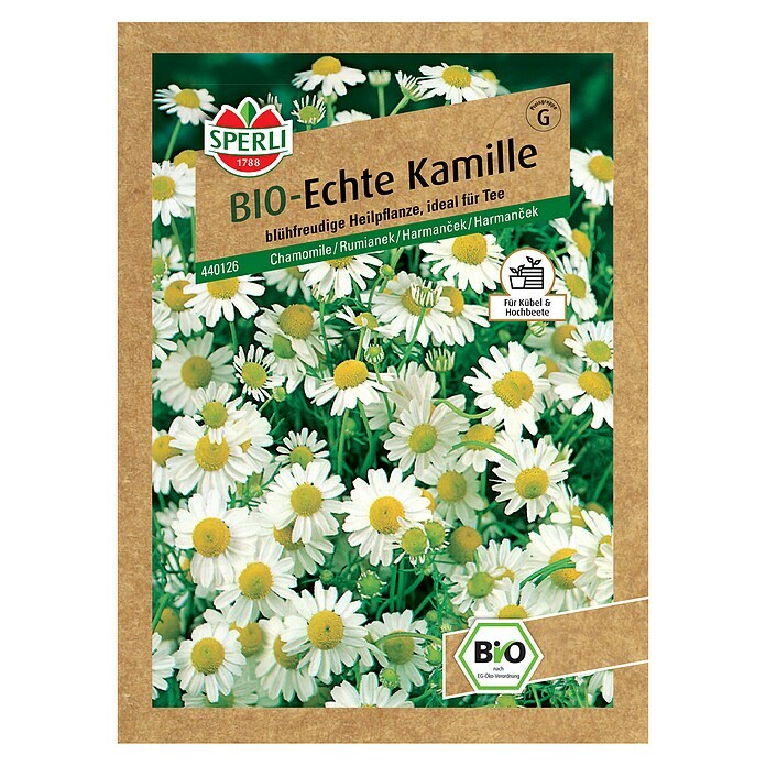 Sperli Kräutersamen BIO Echte KamilleMatricaria recutita, Saatzeit: April - Juli Front View