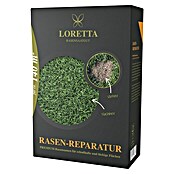 Loretta Rasen-Reparatur (2,2 kg, 140 m²) | BAUHAUS