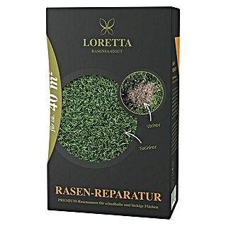 Loretta Rasen-Reparatur  (40 m²)