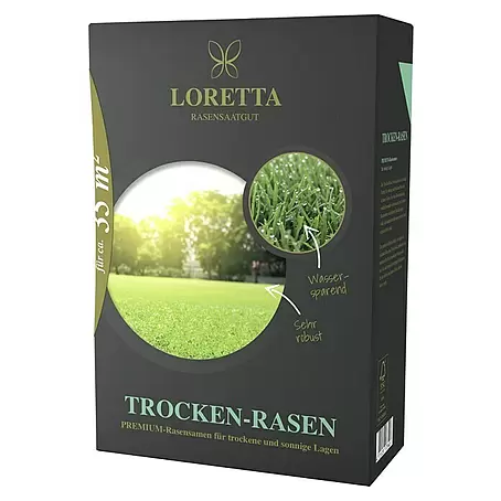 Loretta  Rasensamen Trockenrasen