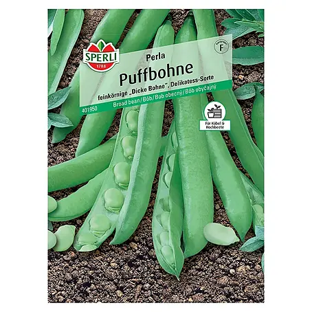 Sperli  Gemüsesamen Puffbohne Perla