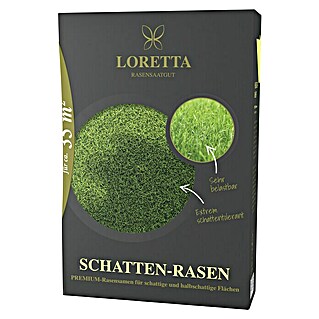 Loretta Schattenrasensamen (0,6 kg, 35 m²)