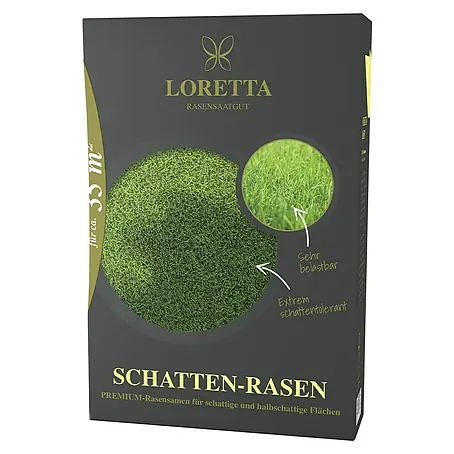 Loretta  Rasensamen Schattenrasen